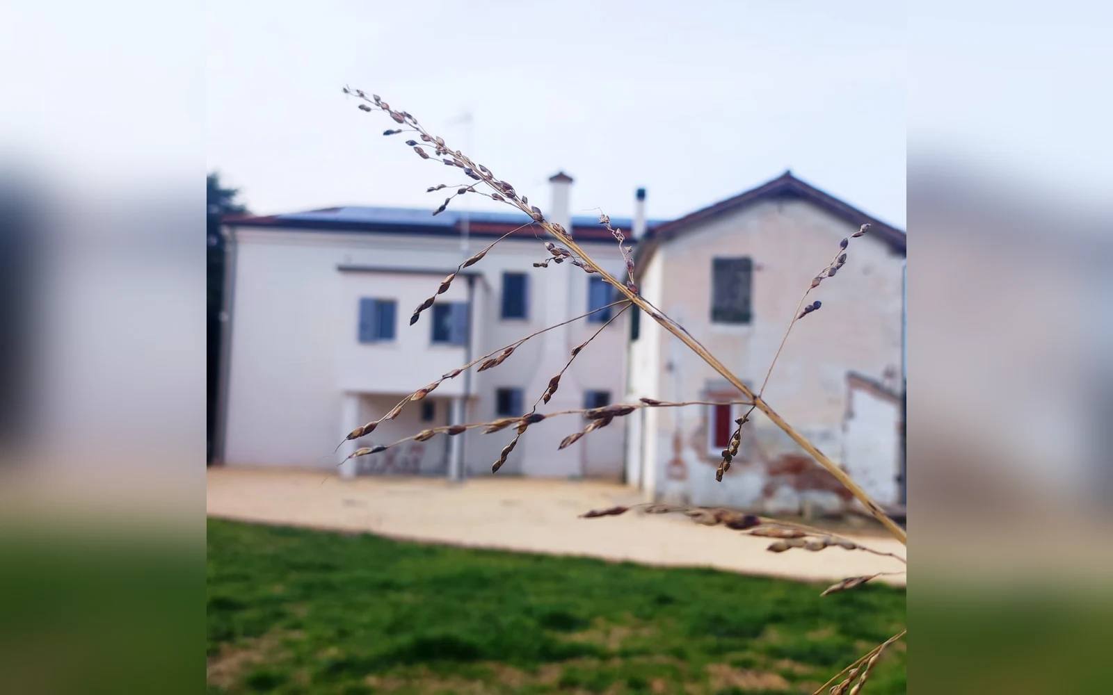 De Uait Aus, Fossalta di Piave (Veneto) (foto 8)